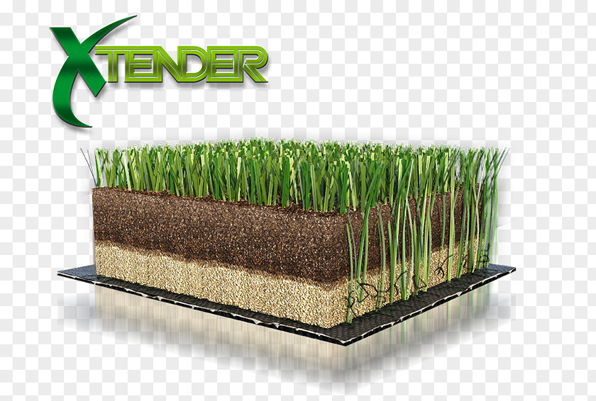 Tender Lawn Artificial Turf Green FIFA 18 Wheatgrass PNG