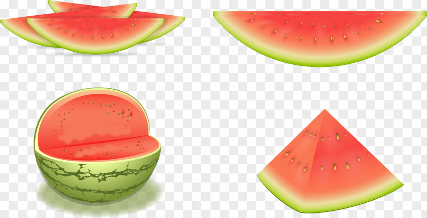 Vector Painted Cut Watermelon Euclidean Illustration PNG