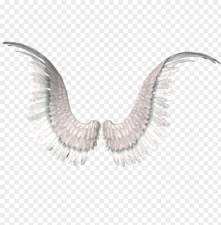 Wings Drawing PNG