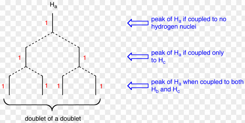 Angle Pattern Proton Nuclear Magnetic Resonance J-coupling Spectroscopy Chemistry PNG