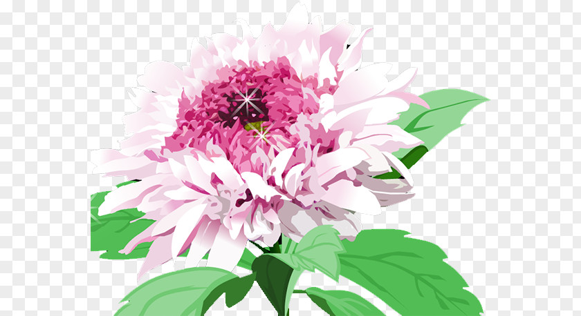 Chrysanthemum Floral Design Cut Flowers Education PNG