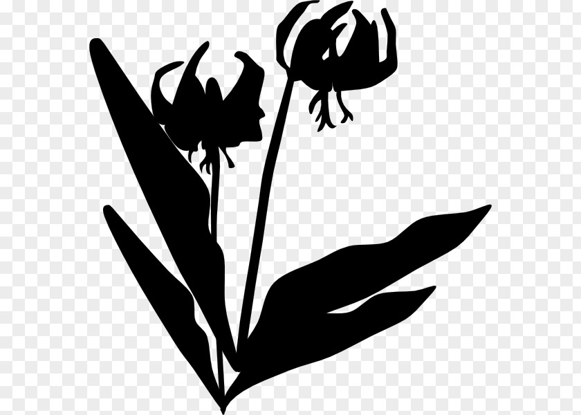 Clip Art Illustration Leaf Silhouette Plant Stem PNG