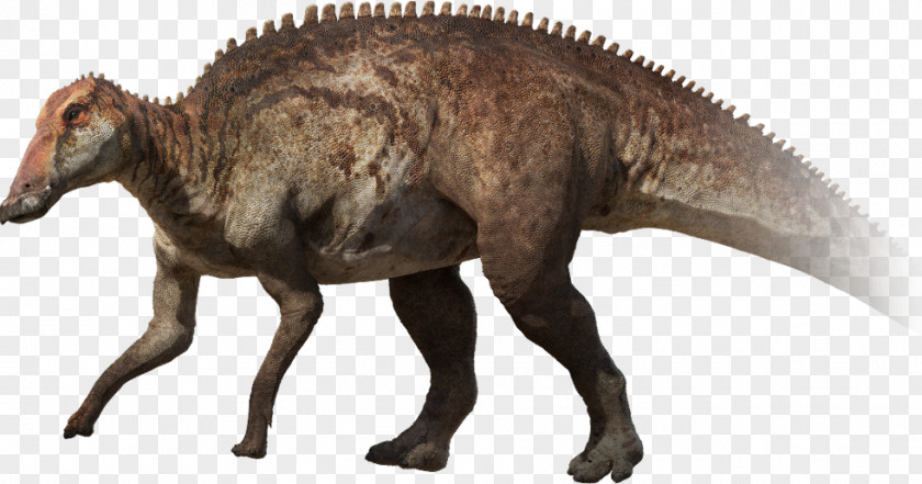 Dinosaur Tyrannosaurus Edmontosaurus Maiasaura Cretaceous PNG
