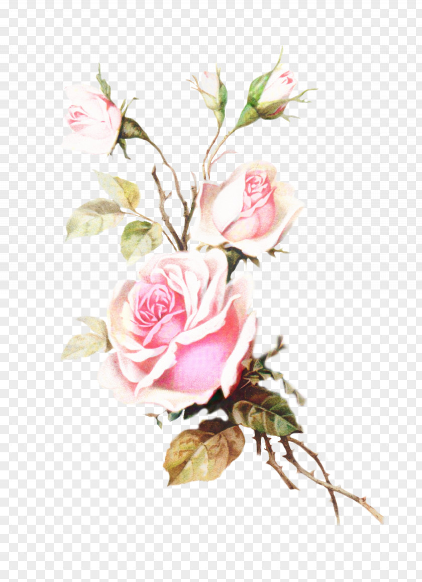 Pedicel Flower Arranging Watercolor Pink Flowers PNG