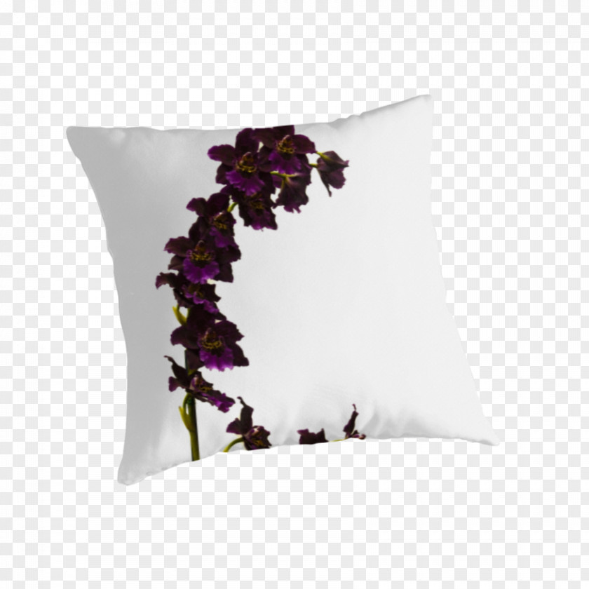 Pillow Throw Pillows Cushion PNG