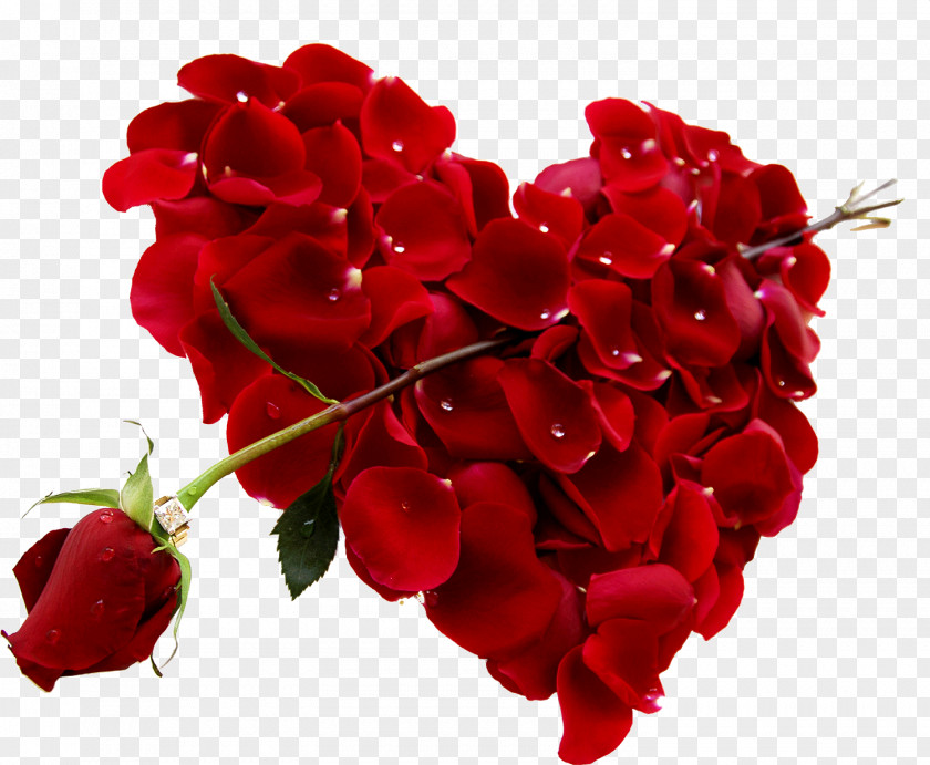 Red Rose Decorative Valentine's Day Heart Gift February 14 PNG