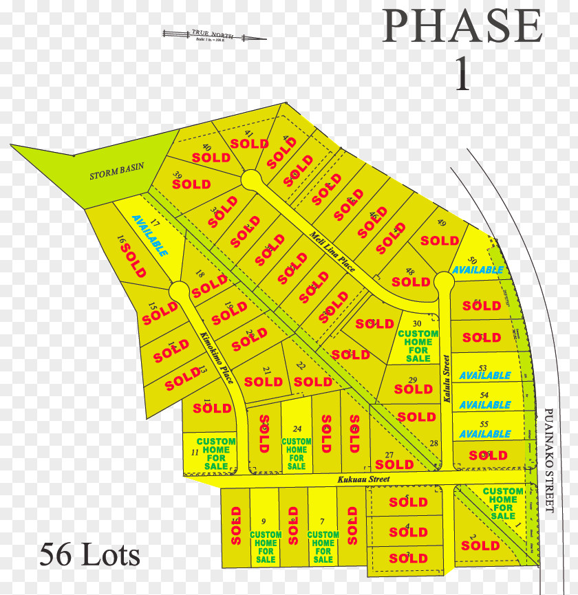 Road Map Infography Aerial View Hilo Hillside Estates Land Lot Site Plan Residential Area PNG