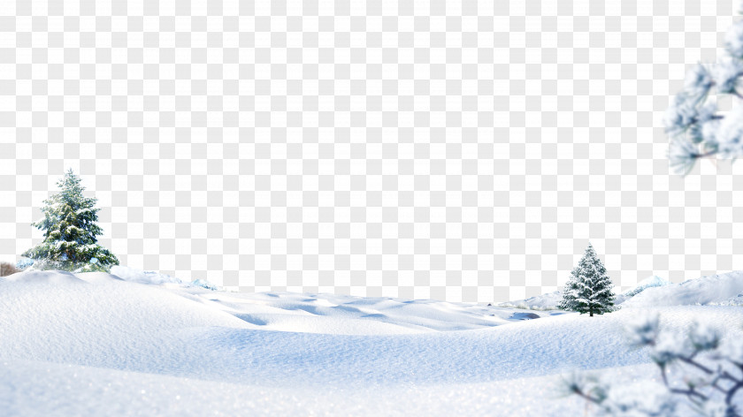 Winter Snow Photography PNG