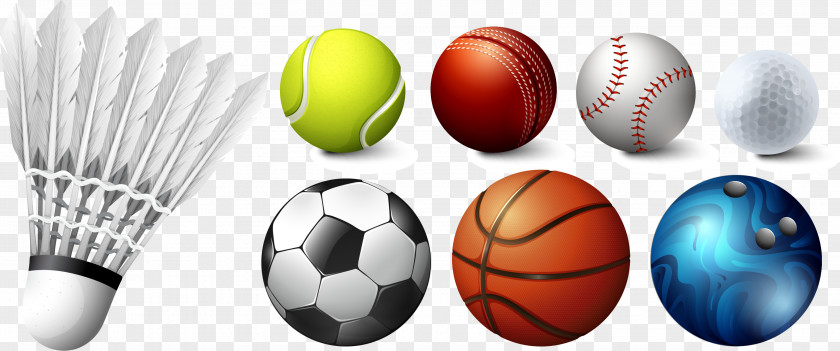 All Kinds Of Ball Games Sports Equipment Badminton Racket PNG