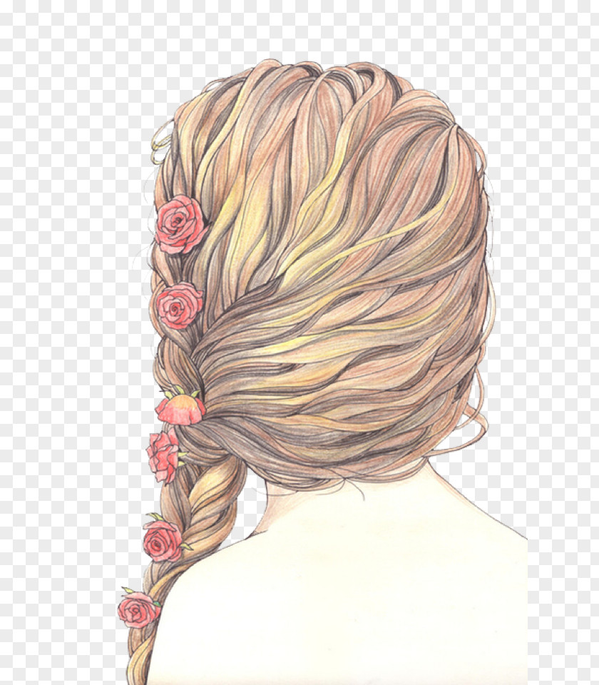 Hair Drawing Braid Painting Sketch PNG