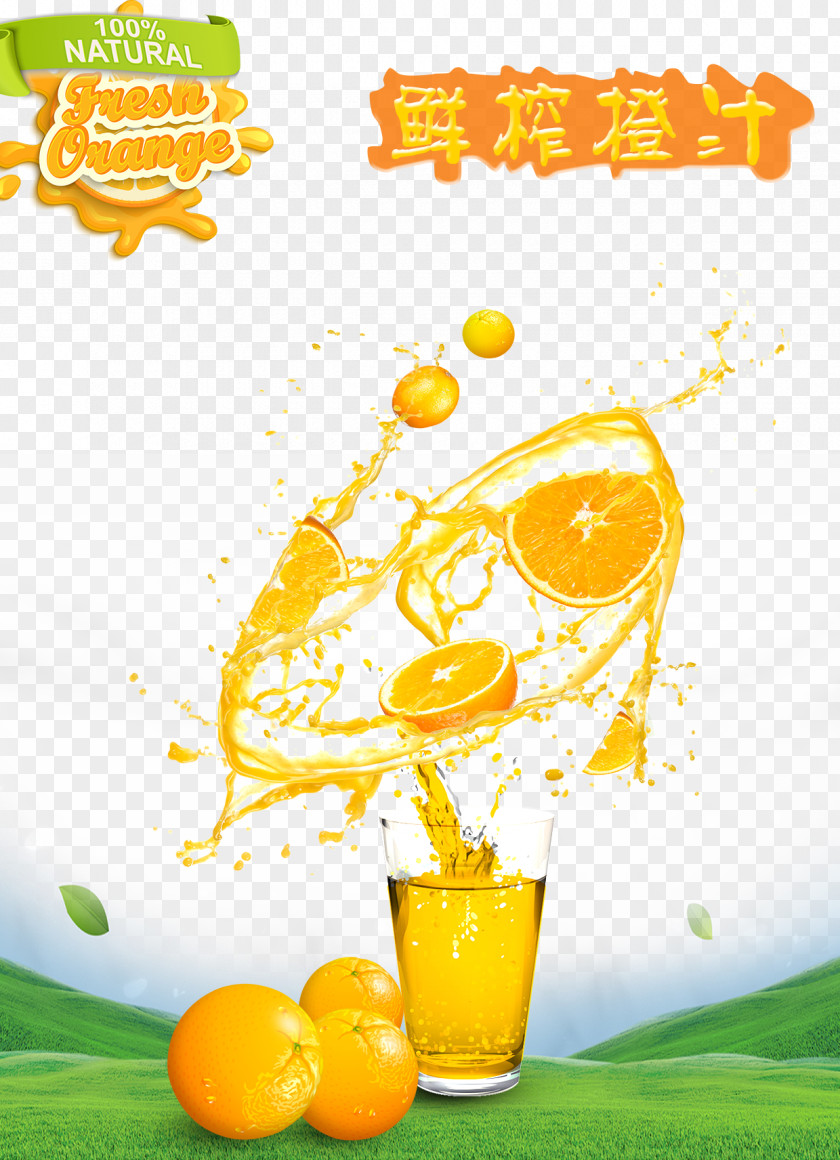 Orange Juice Smoothie Milkshake PNG