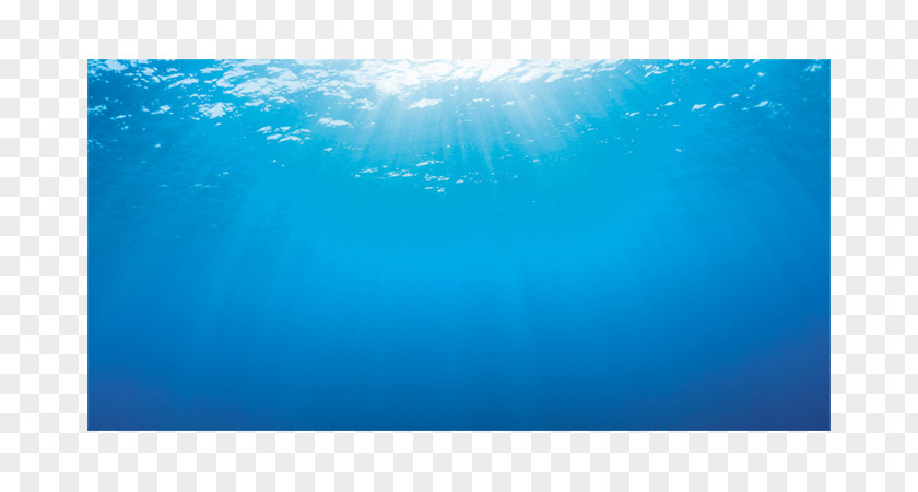 Underwater Background Light Fixture Aquarium Price Bitxi PNG
