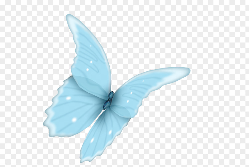 Blue Butterfly Wing Shoelace Knot PNG