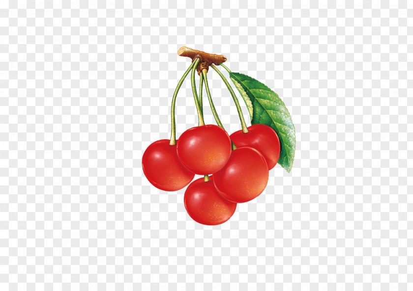 Cherry Cranberry PNG