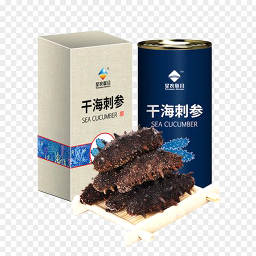 Dalian Short Dry Sea Cucumber PNG