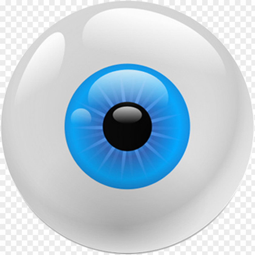 Eyes Eye Color Iris Clip Art PNG