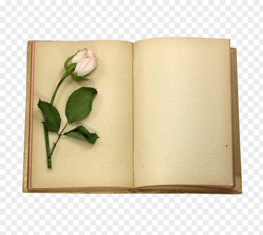 Flower Book Rose Stock Photography Clip Art PNG