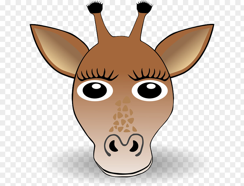 Giraffe Clip Art PNG