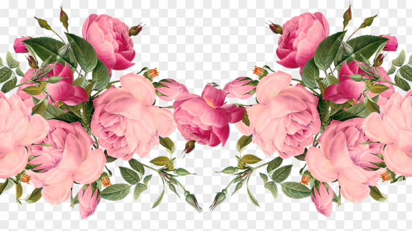 Rose Floral Design Flower Clip Art PNG