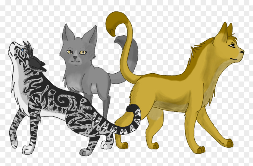 Cat Whiskers Lion Illustration Image PNG