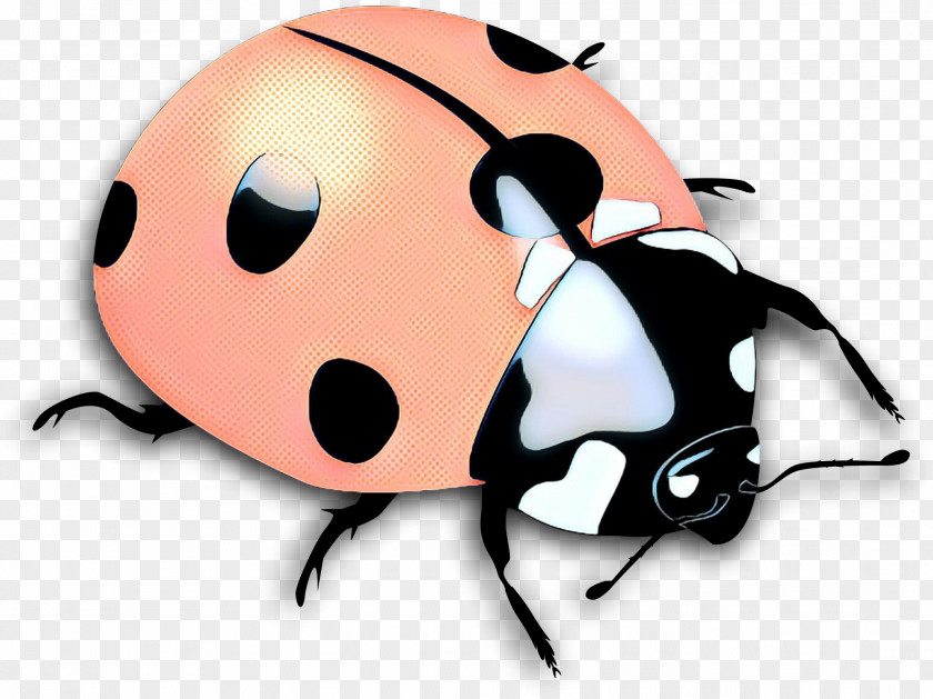 Fictional Character Beetle Ladybug PNG