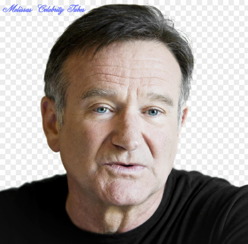 Hugh Jackman Robin Williams Film Comedian How To Be Single PNG