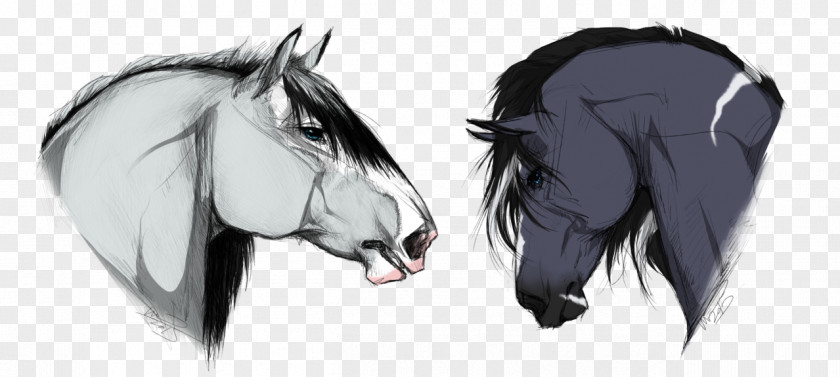 Rude Boys Art Drawing Pony Sketch PNG
