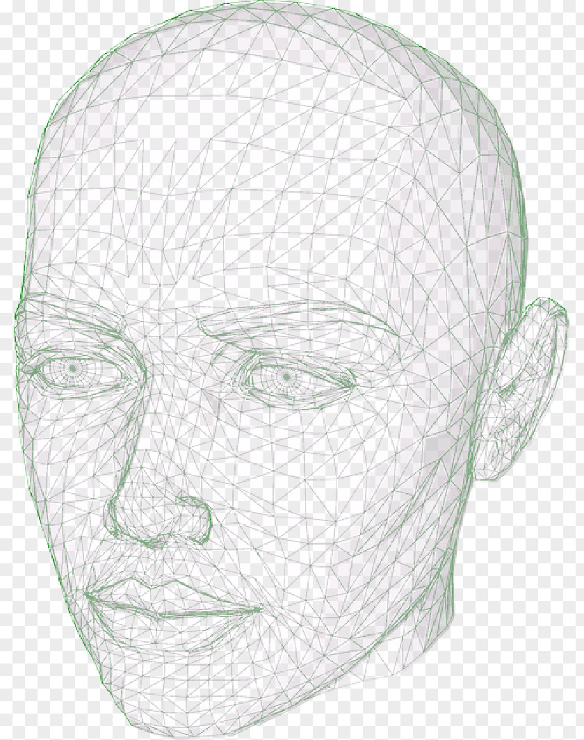 Wire Drawing Face Human Head Image PNG