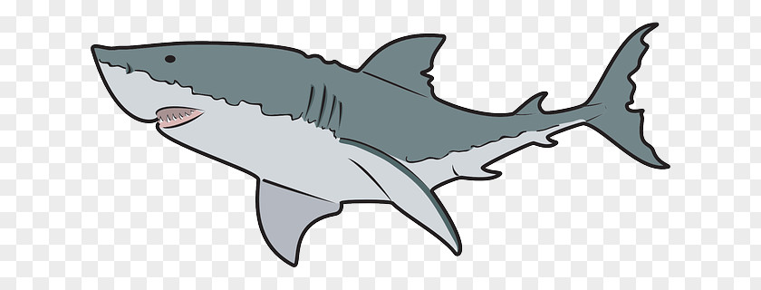Steeple Cliparts Whale Shark Clip Art PNG