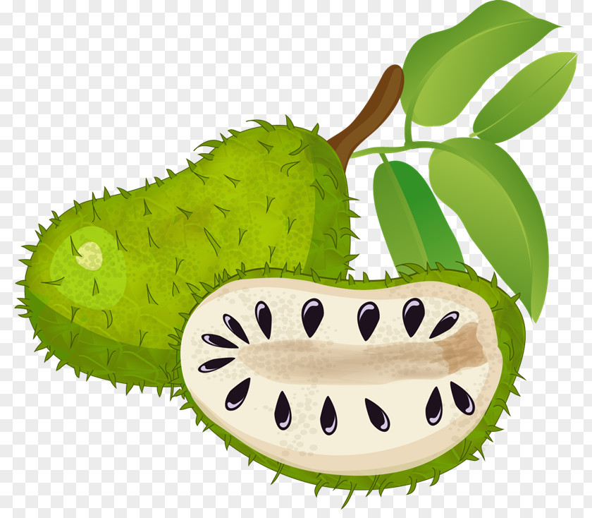 Tropical Fruit Green Tea Matcha Soursop Sugar Apple PNG
