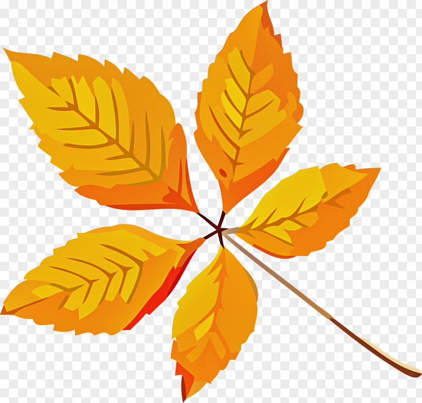 Autumn Leaf Yellow PNG