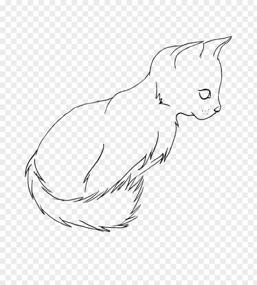 Cat Line Whiskers Domestic Short-haired Sketch Paw PNG