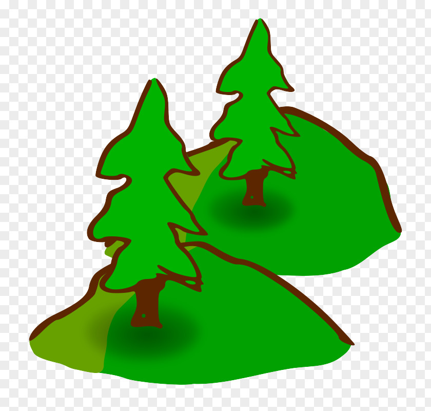 Pine Family Plant Christmas Tree PNG