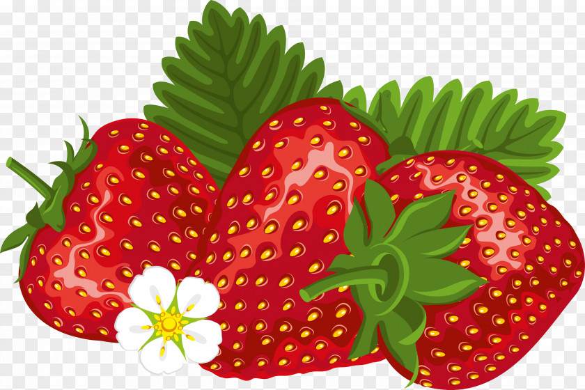 Strawberry Shortcake Milkshake Florida Festival Clip Art PNG