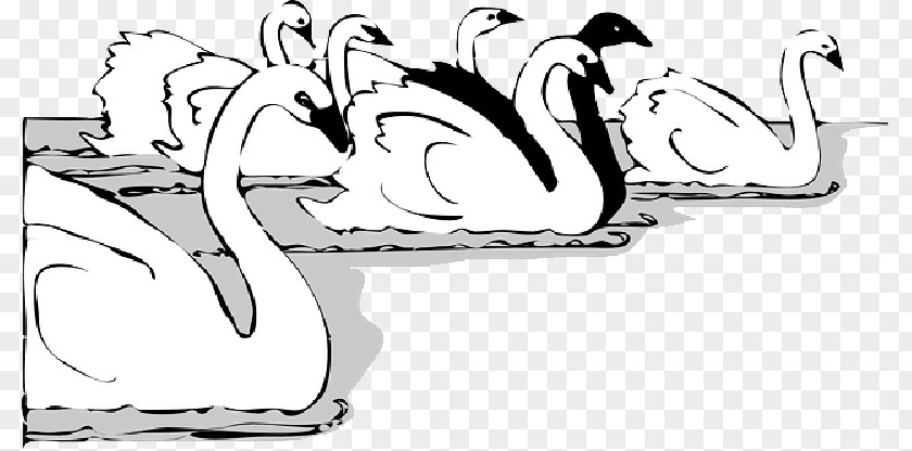 Vector Graphics Clip Art Drawing Bird Mute Swan PNG