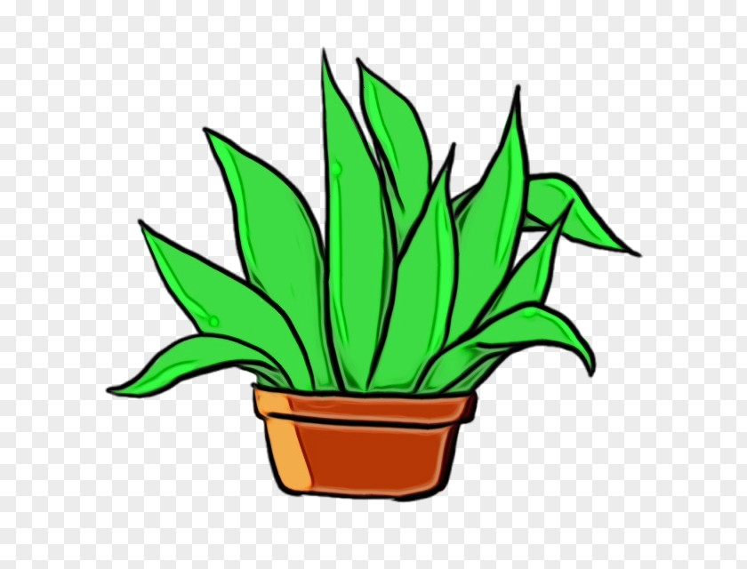 Aloe Grass Flowerpot Houseplant Leaf Plant Clip Art PNG