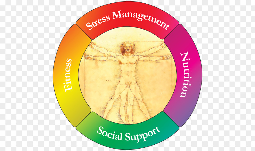 Alternative Health Services Integrative Medicine Psychological Stress PNG