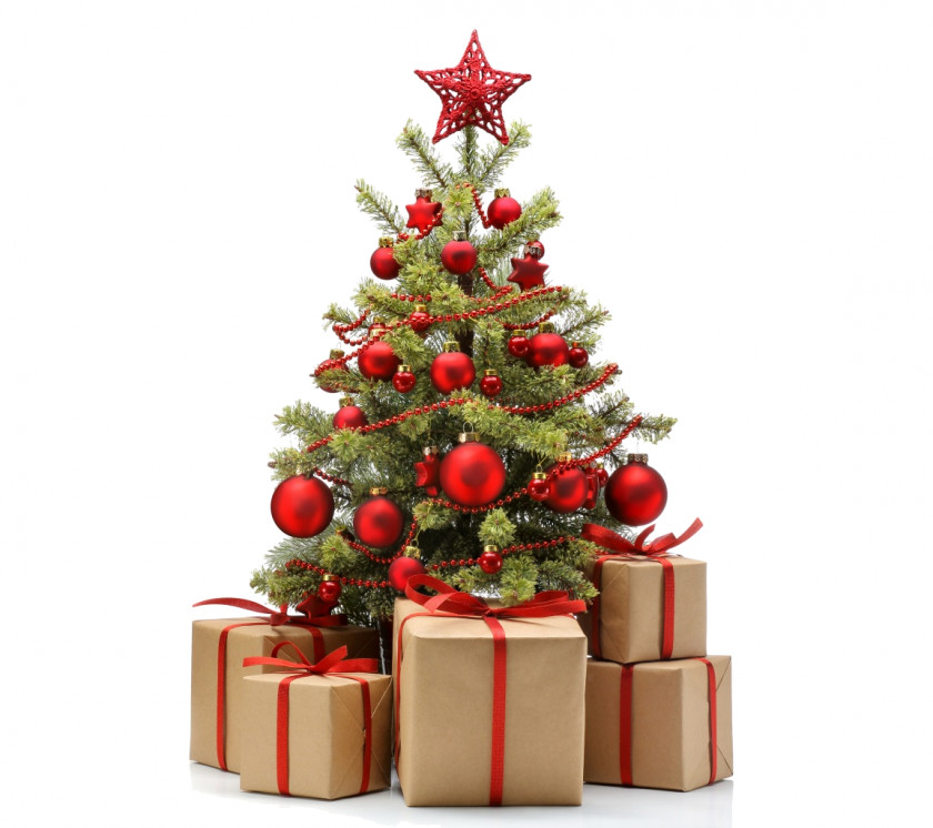 Christmas Tree Medical Art & More Gift New Year PNG