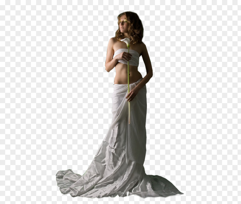 Dress Wedding Gown Shoulder Photo Shoot PNG