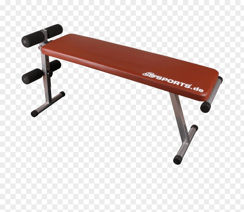 Dumbbell Bench Sit-up Crunch Weight Training PNG