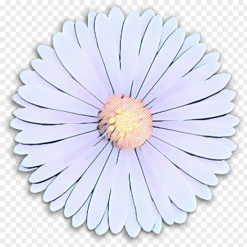 Transvaal Daisy Cut Flowers Purple Petal PNG