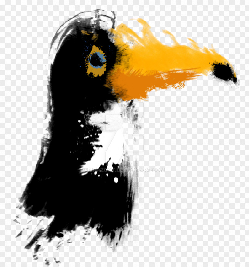 Watercolor Animal Bird Painting Keel-billed Toucan PNG