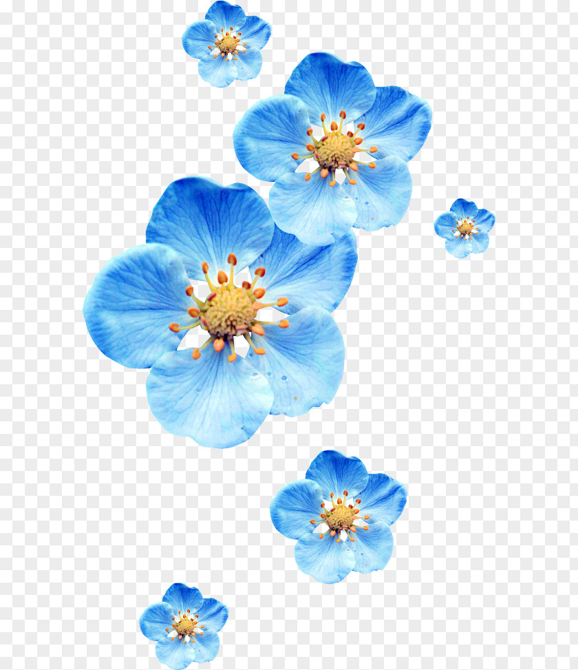 Flower Blue Clip Art PNG