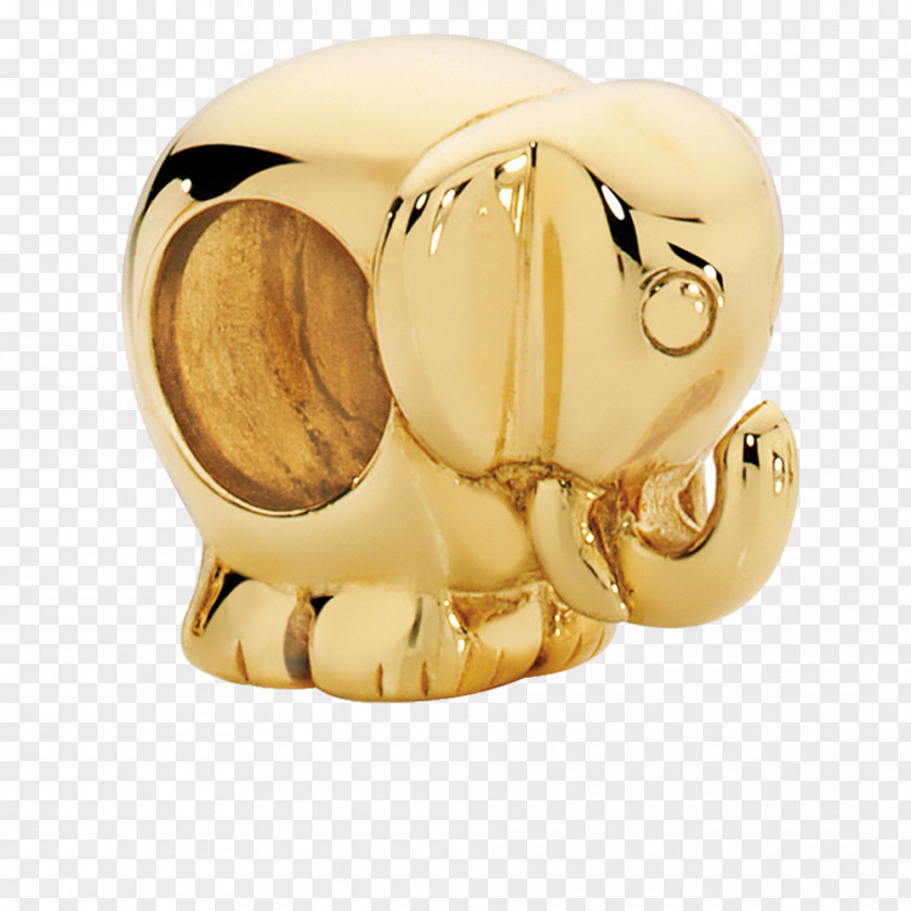 Gold Animal PNG