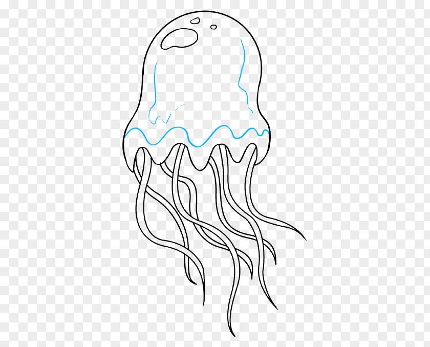 Jellyfish Art Drawing Line Illustration Sketch Image PNG