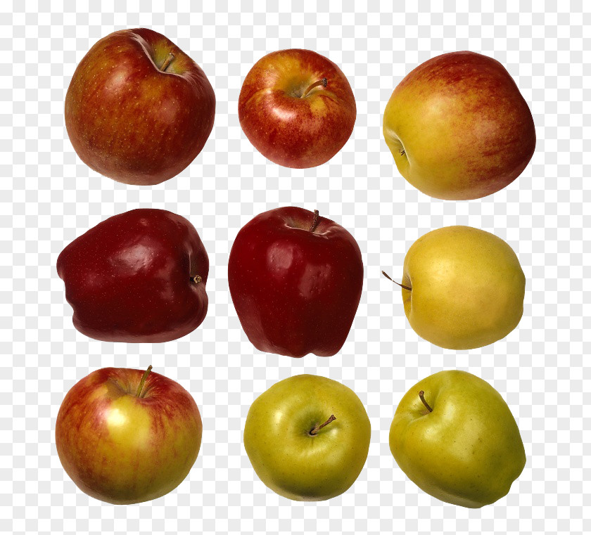 Nine Apples Apple Juicing Fruit PNG