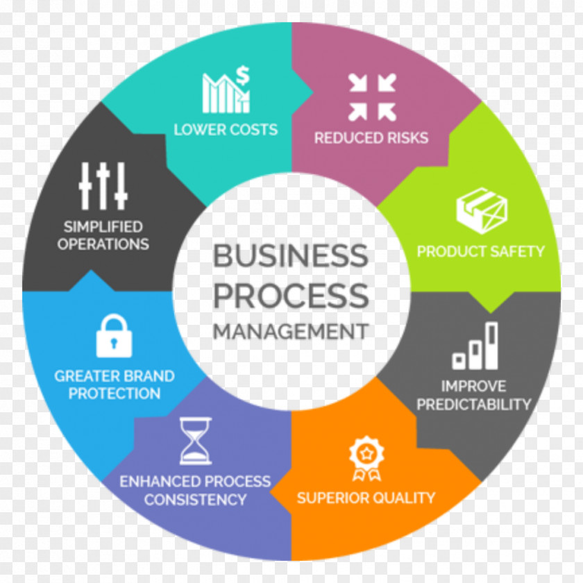Business Organization Process Management PNG