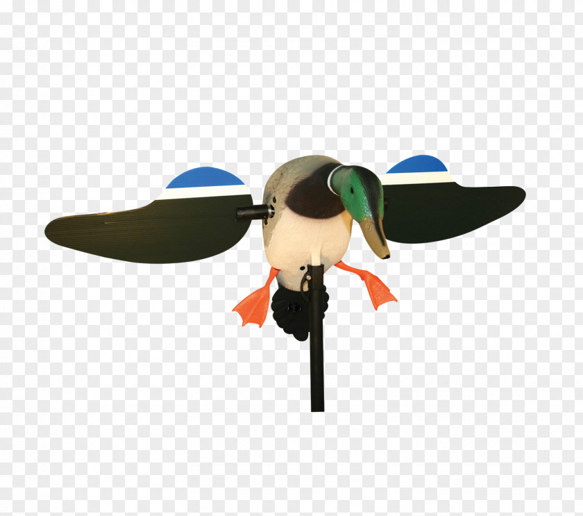 Duck MOJO Mallard Drake Decoy PNG