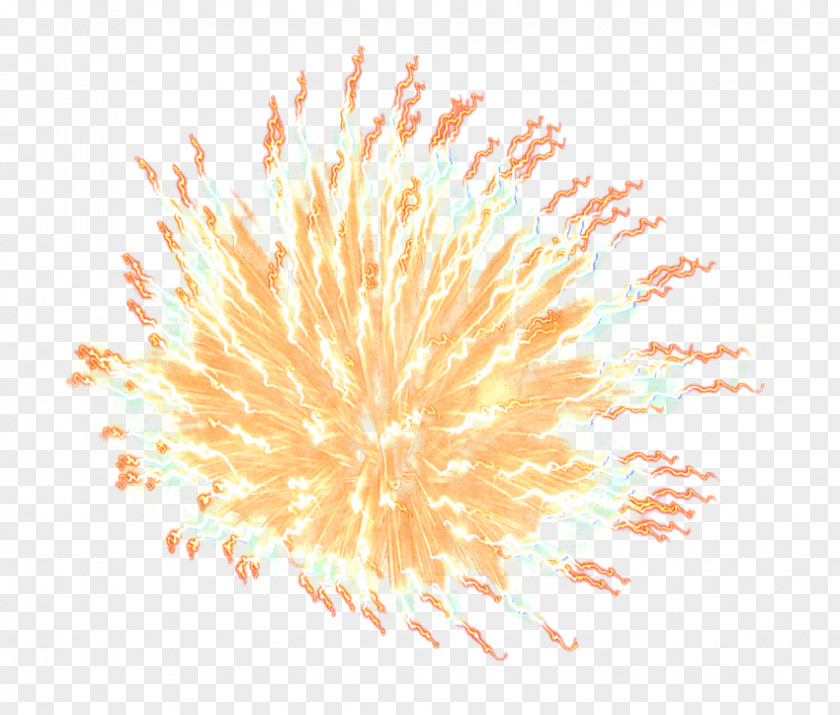 Fireworks Transparency Image Clip Art PNG