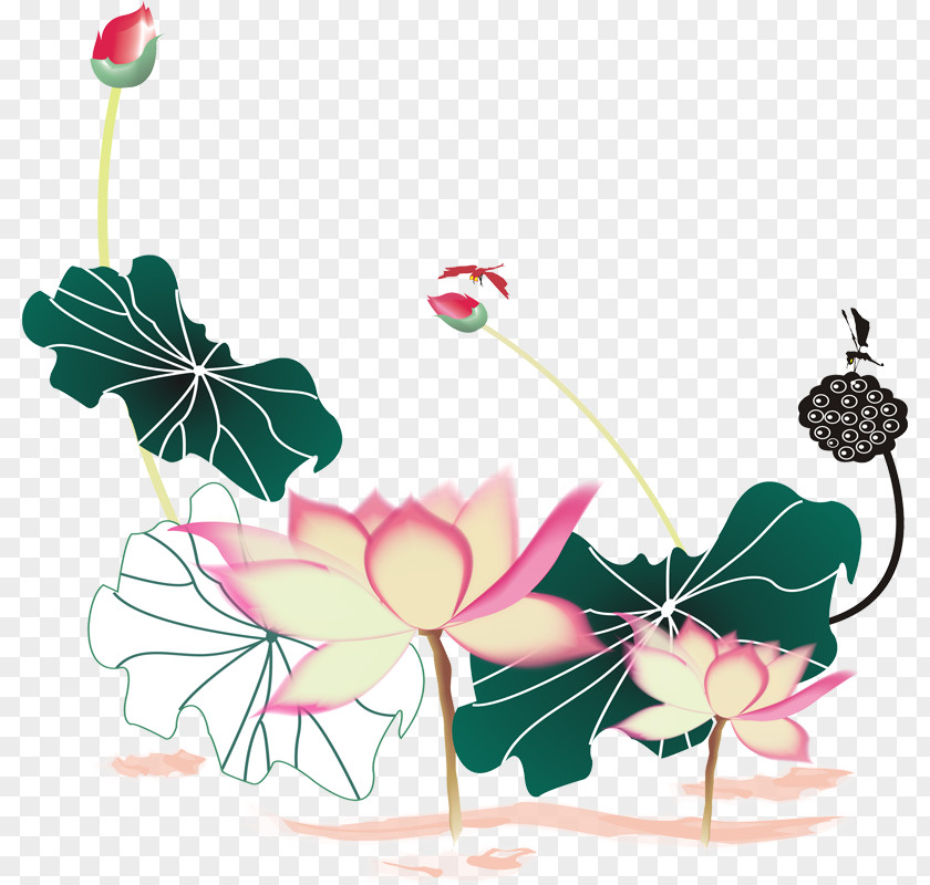 Hand-painted Lotus Nelumbo Nucifera Floral Design Lutea PNG